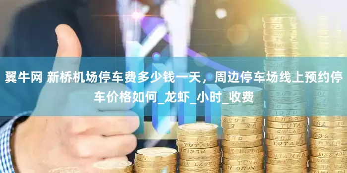 翼牛网 新桥机场停车费多少钱一天，周边停车场线上预约停车价格如何_龙虾_小时_收费