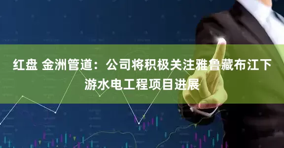 红盘 金洲管道：公司将积极关注雅鲁藏布江下游水电工程项目进展
