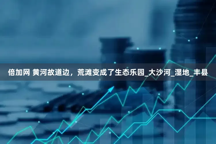 倍加网 黄河故道边，荒滩变成了生态乐园_大沙河_湿地_丰县
