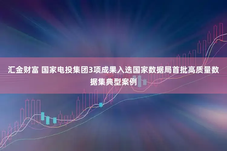 汇金财富 国家电投集团3项成果入选国家数据局首批高质量数据集典型案例