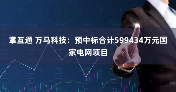 掌互通 万马科技：预中标合计599434万元国家电网项目